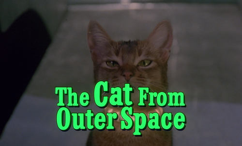 The.Cat.from.Outer.Space.1978.1080p.WEB DL.AAC2.0.H264 FGT.mkv 000214435.png