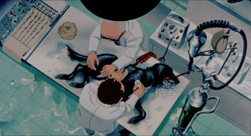 The.Plague.Dogs.1982.1080p.BluRay.x264 SPRiNTER.mkv 000226076.png