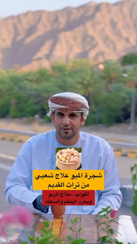 2bJyA5 4gV1Ac zn.jpg