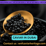 caviar in dubai.png