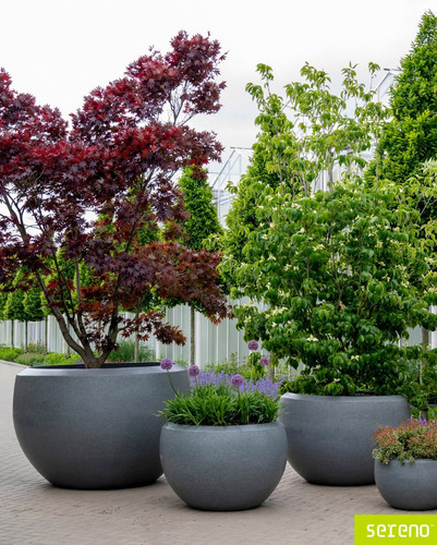 Buy Pots and Planters Online for Effortless Green Styling.jpg