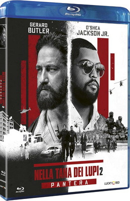 81+ACJcgv L. SL1500 .jpg