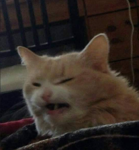 FxVXHWQ.png