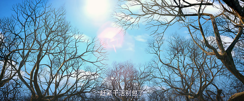 20250620 202934 529167.png