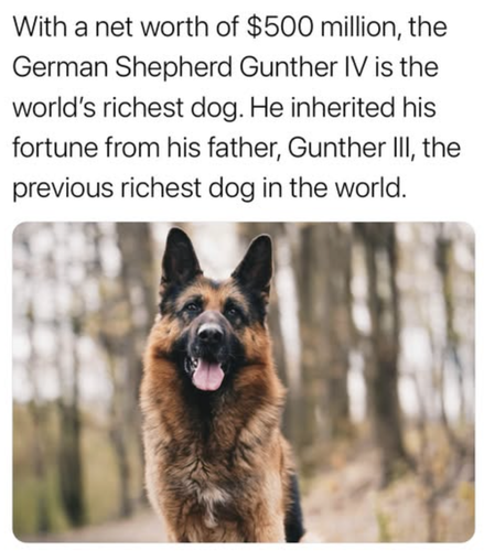 Screenshot 2025 06 20 at 2.42.27 PM.png