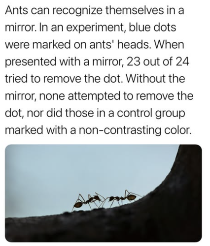 Screenshot 2025 06 20 at 2.38.45 PM.png