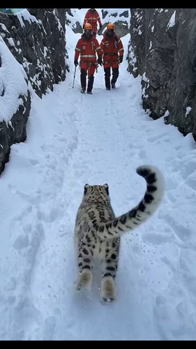 56UUnrpgDqo niie.jpg