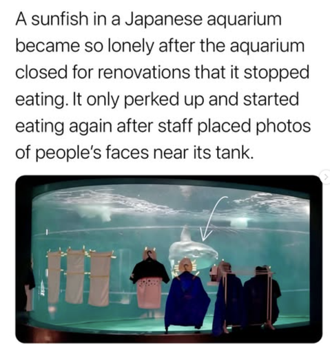 Screenshot 2025 06 20 at 2.37.08 PM.png