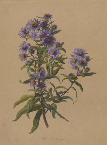 Imagem do WhatsApp de 2025 06 19 à(s) 20.41.01 d4d445e2.jpg