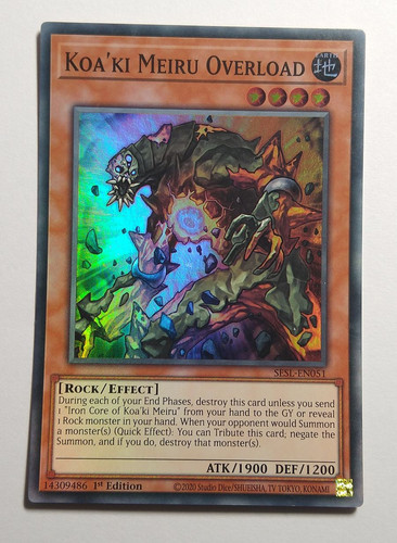 IMG 20240128 131019720.jpg