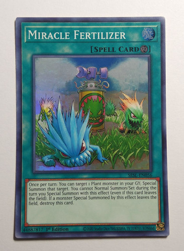 IMG 20240128 131058331.jpg