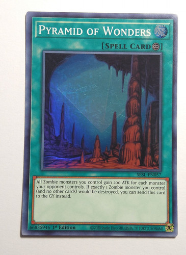 IMG 20240128 131108895.jpg