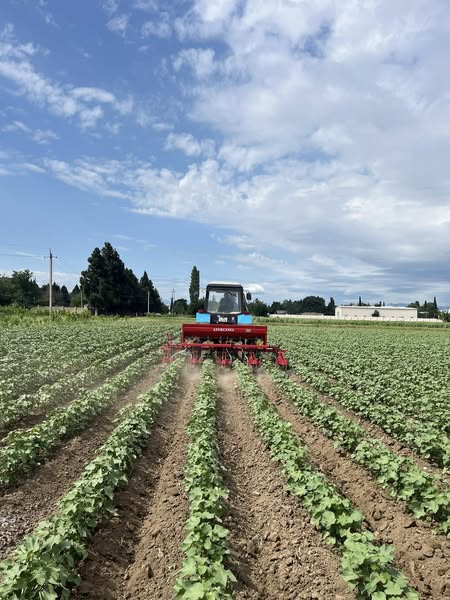 508427250 702786192617194 3902275971058833527 n.jpg?stp=cp6 dst jpg s600x600 tt6& nc cat=107&ccb=1 7.jpg