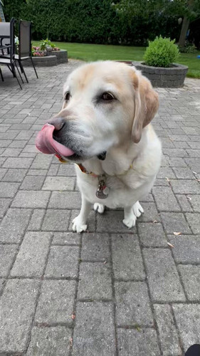 bo cgLPjtBADggKZ.jpg