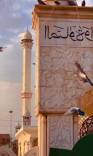 YLRlTNlCLx wczPh.jpg