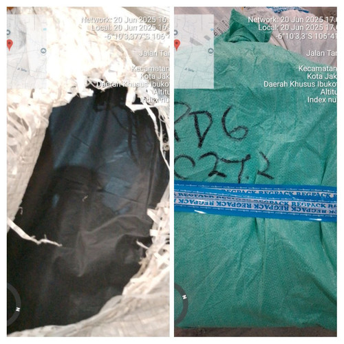 IMG 20250620 170237 COLLAGE.jpg