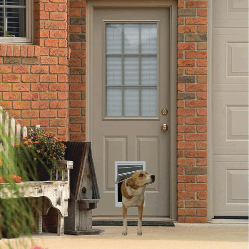 Enhance Pet Freedom With Smart Exterior Door Designs.gif