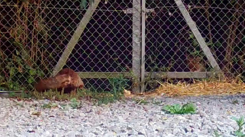 9sh60 igqyuf1xAF.jpg