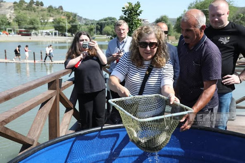 509360452 1153757710113840 807302662274877676 n.jpg?stp=dst jpg p526x395 tt6& nc cat=104&ccb=1 7& nc.jpg