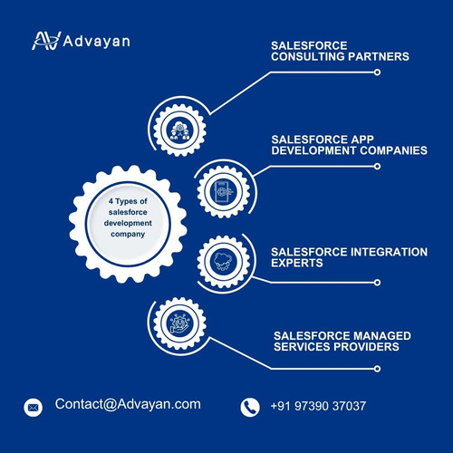 4 Types of salesforce development company.jpg