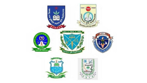 1750391189 e788a1b46f5454aef7eb.jpg