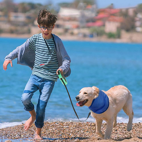 71786TVYbXL. AC SL1001 .jpg