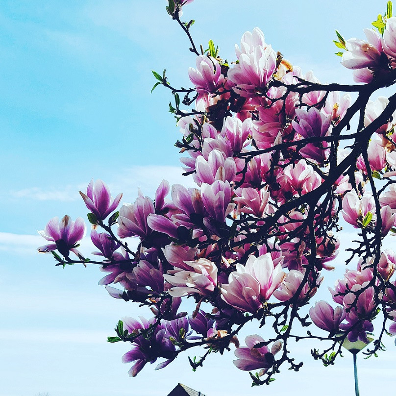 Anti-bucketlist: Dingen die ik nooit (meer) ga doen