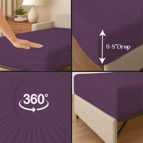 PLUM 09.jpg