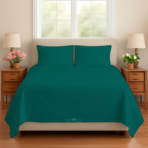 TEAL 01.jpg