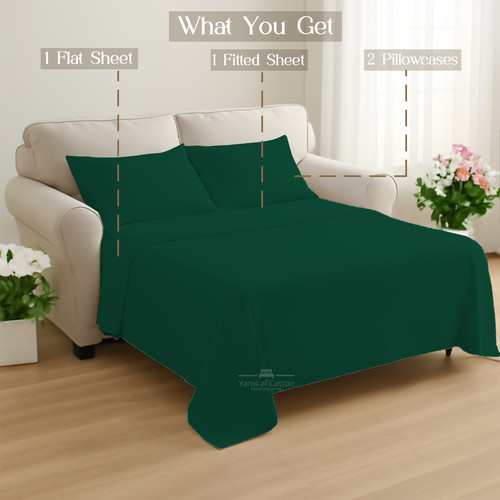 OLIVE 08.jpg