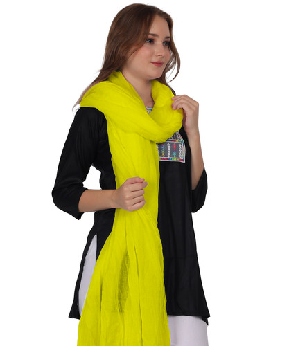 YELLOW 3.jpg