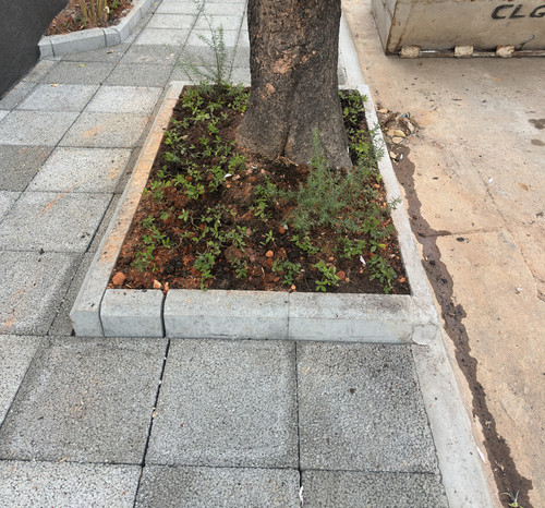 Calçada Paisagismo.jpg