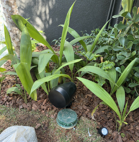 Jardim Caixas de Som.jpg