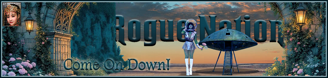 Rogue-Nation Discussion Board