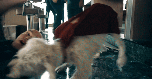 FyJwk37.gif