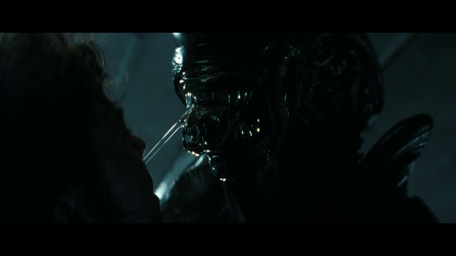 Vlcsnap-2025-08-20-02h08m23s110