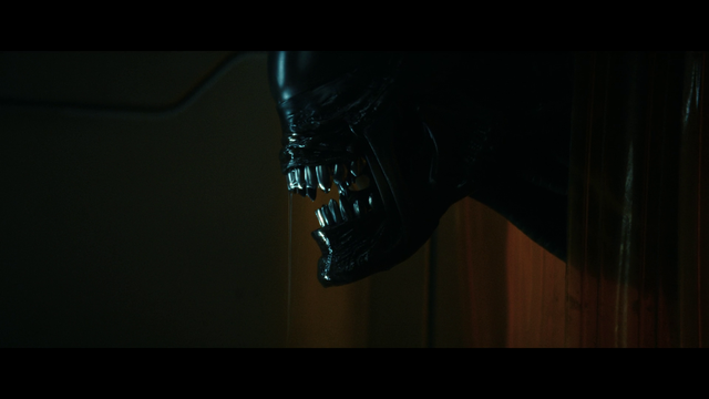 Vlcsnap-2025-08-20-02h07m49s241