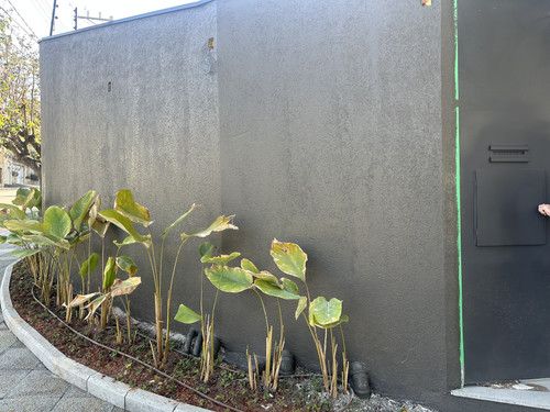 Muro Esquina Repintura Externa e Interna.jpg