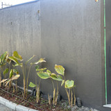 Muro Esquina Repintura Externa e Interna
