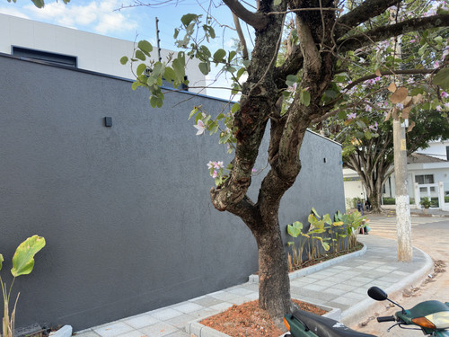 Muro Externo Instalação de Arandelas.jpg