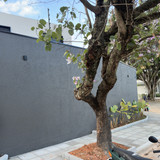 Muro Externo Instalação de Arandelas