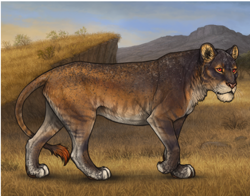 Screenshot 2025 08 21 120124.png