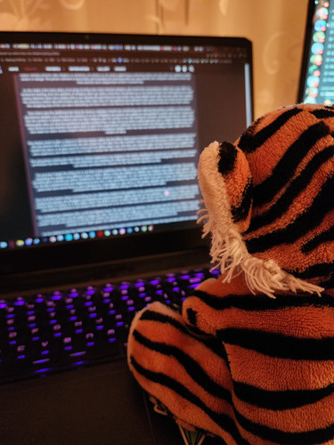 Tigey Seventeen Where He Became a Roleplay Writer and Stole Me PC.jpg