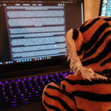 Tigey Seventeen Where He Became a Roleplay Writer and Stole Me PC