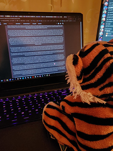 Tigey Nineteen Where He Became a Roleplay Writer and Stole Me PC.jpg