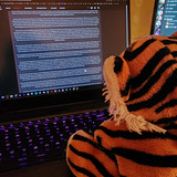 Tigey Nineteen Where He Became a Roleplay Writer and Stole Me PC