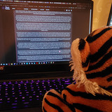 Tigey Twenty Where He Became a Roleplay Writer and Stole Me PC