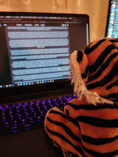 Tigey Eighteen Where He Became a Roleplay Writer and Stole Me PC.jpg