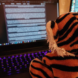 Tigey Eighteen Where He Became a Roleplay Writer and Stole Me PC