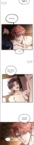 11.png